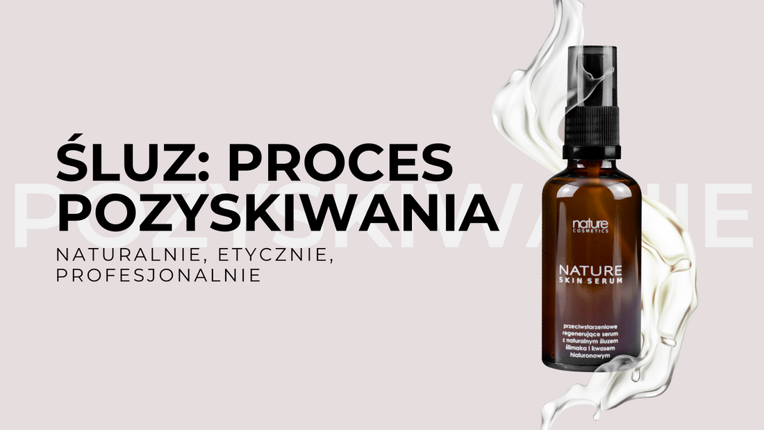 Proces pozyskiwania śluzu ślimaka