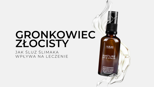 Śluz ślimaka a gronkowiec złocisty