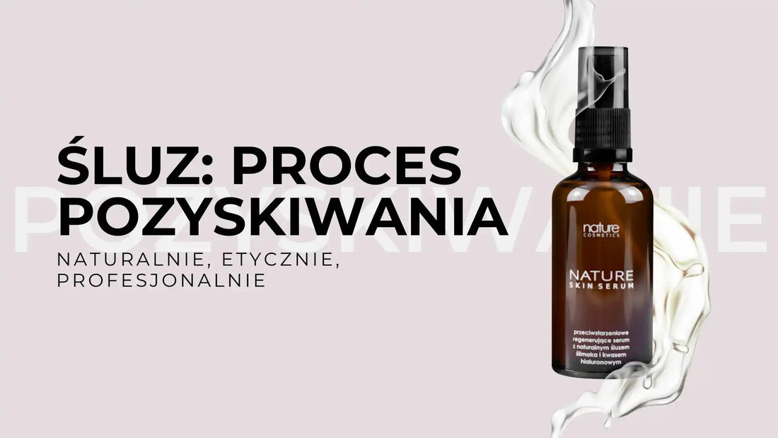 Proces pozyskiwania śluzu ślimaka