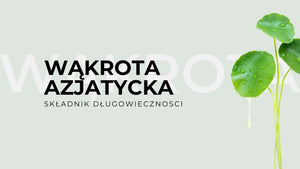 Wąkrota azjatycka - składnik długowieczności