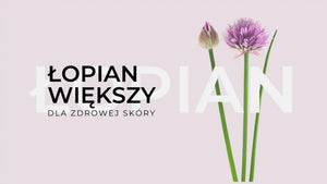 Łopian większy - składnik dla pięknej skóry