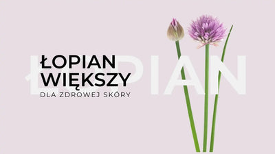Łopian większy - składnik dla pięknej skóry