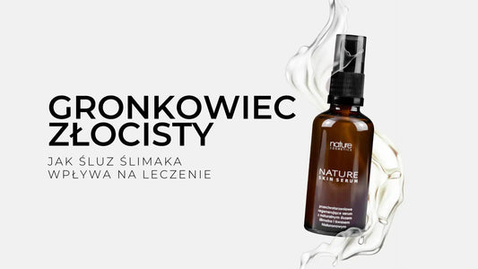 Śluz ślimaka a gronkowiec złocisty